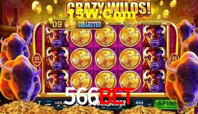 cassino 566Bet